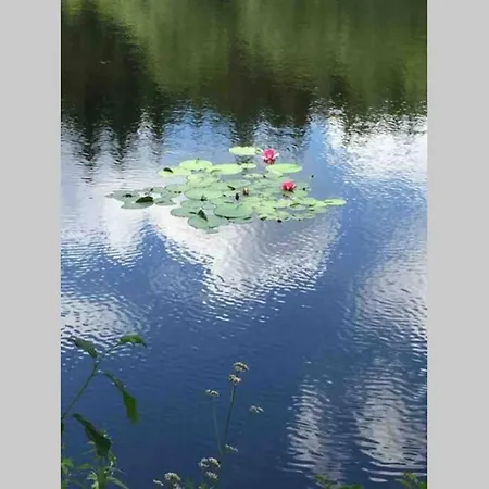 Ackerbuergerhof In Der Welterbestadt Quedlinburg شقة *