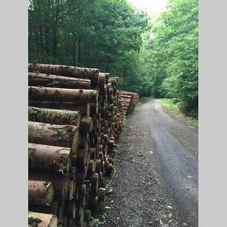 شقة Ackerbuergerhof In Der Welterbestadt Quedlinburg جيرنروده هارتس