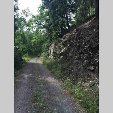 Ackerbuergerhof In Der Welterbestadt Quedlinburg Appartement