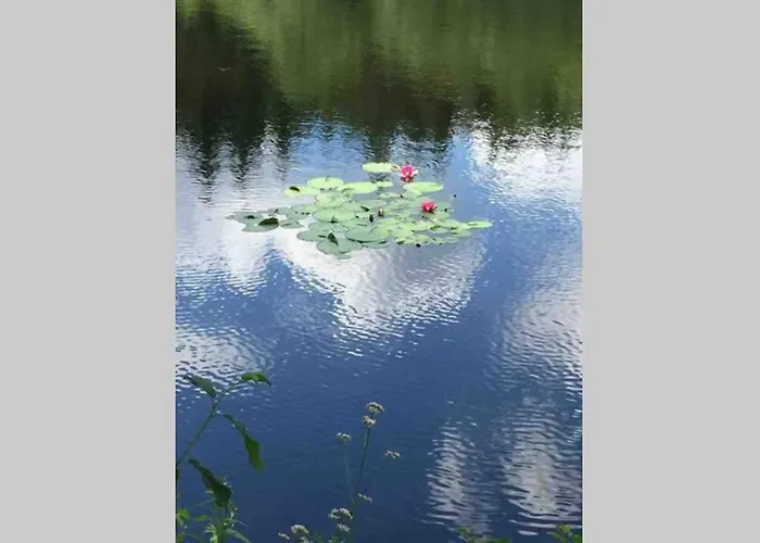 Ackerbuergerhof In Der Welterbestadt Quedlinburg Lejlighed *