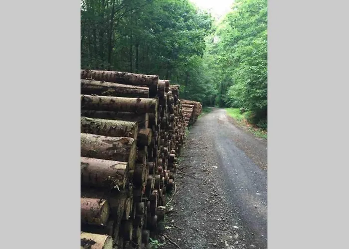 Appartement Ackerbuergerhof In Der Welterbestadt Quedlinburg Gernrode (Saxony-Anhalt)